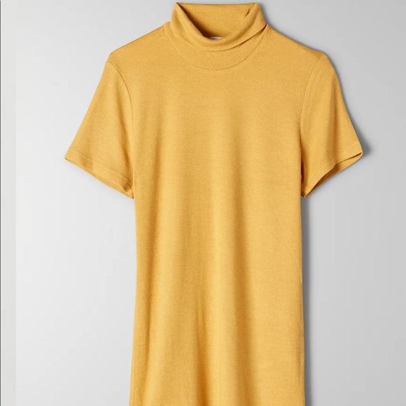 ⭐️🌟Aritzia Short Sleeve Ribbed Turtleneck in Cairo Gold🌟 - Picture 3 of 6